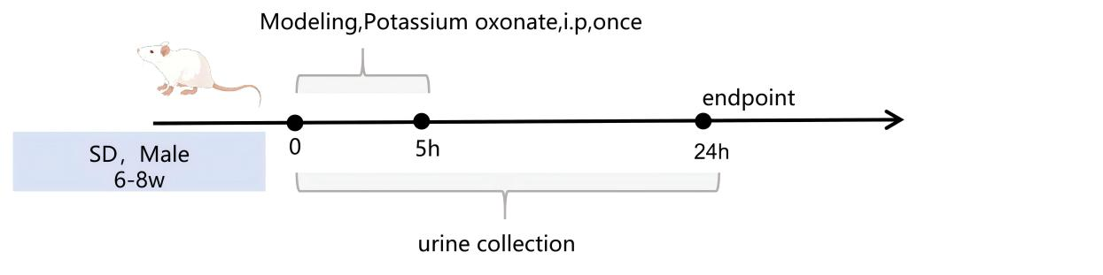 1774580923171180.png 圖片1.png