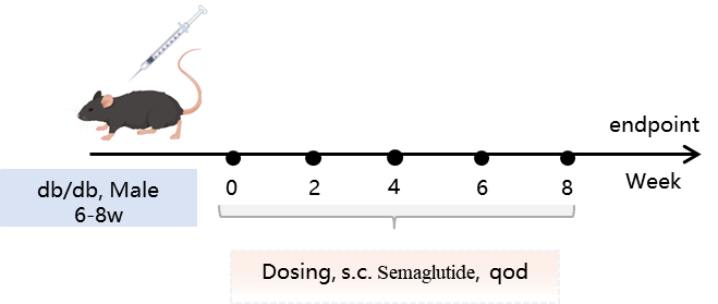 1781663316383757.png 圖片1-1.png